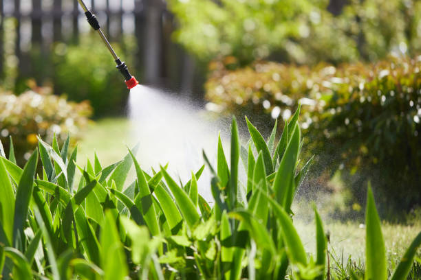 24/7 Emergency Fumigation Services experts in Waterloo, WI